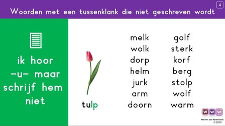 1P / 1F Buffelwerk spellingcategorie&euml;n - Docentenhandleiding (Wire-O)  